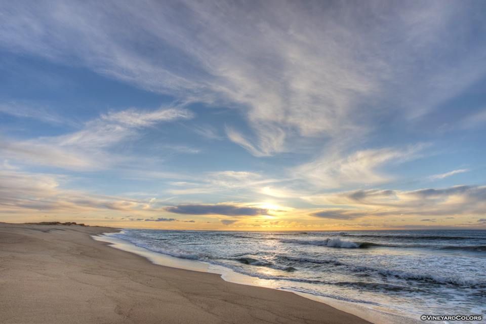 organicbanknotes | Long Point: Visit Long Point for scenic views.