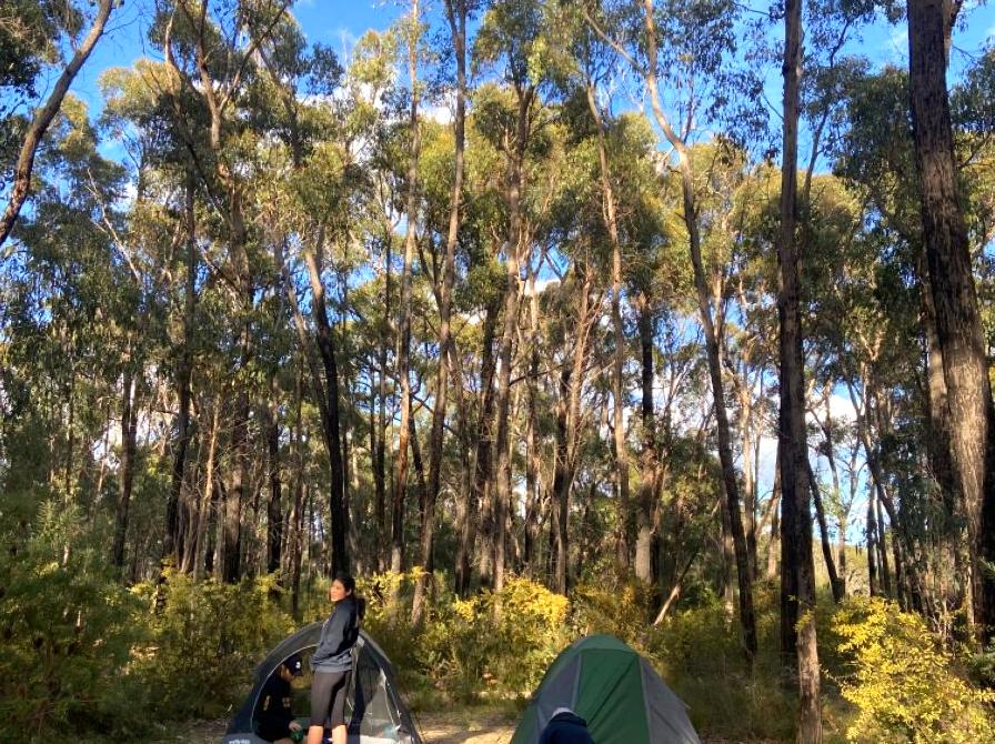 organicbanknotes | Smiths Mill Campground: Camp at Smiths Mill Campground.