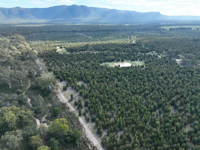 organicbanknotes | Heatherlie: Explore the historic Heatherlie