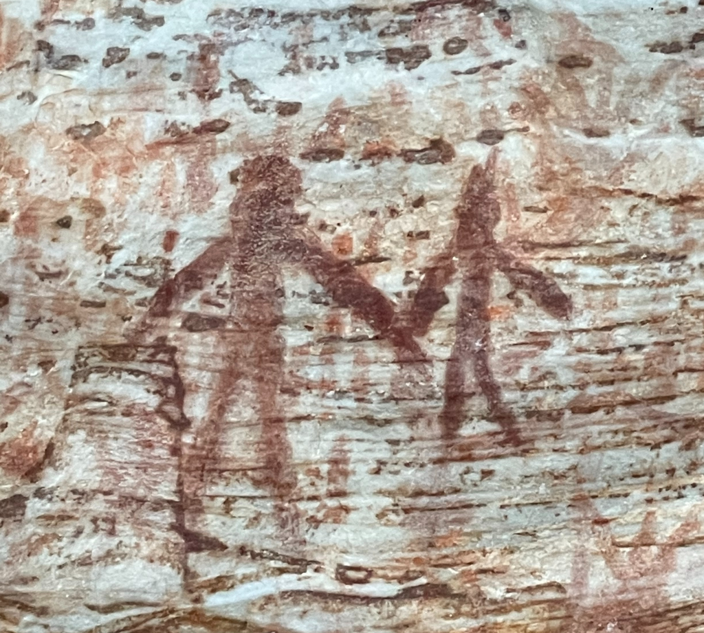 organicbanknotes | Billimina Shelter: Discover ancient rock art at Billimina Shelter