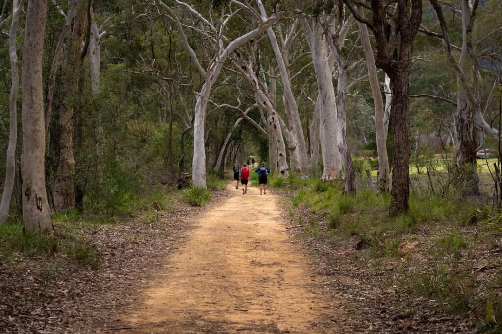 organicbanknotes | Emus Foot Track: Hike the Emus Foot Track.